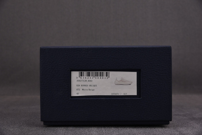d10r b28  oblique low top sneaker