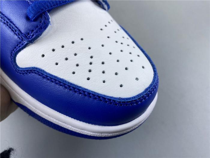 nike dunk low sp kentucky (2020) cu1726-100