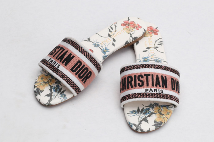 Ch**an di0r slides