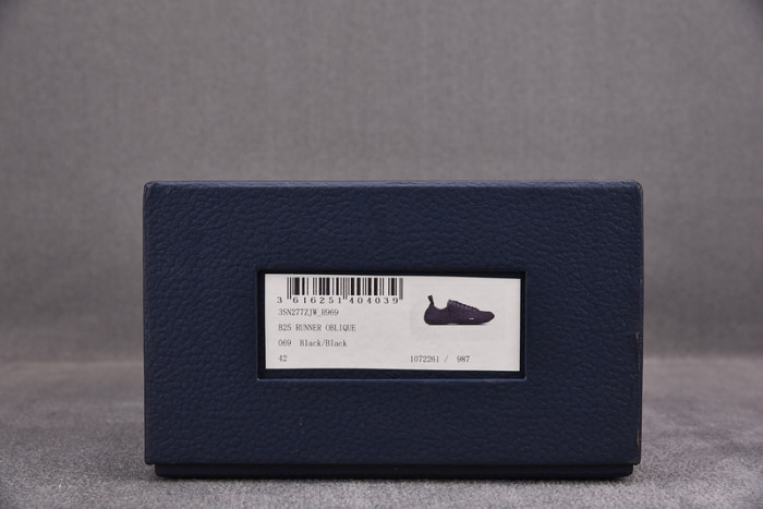 d10r b28  oblique low top sneaker
